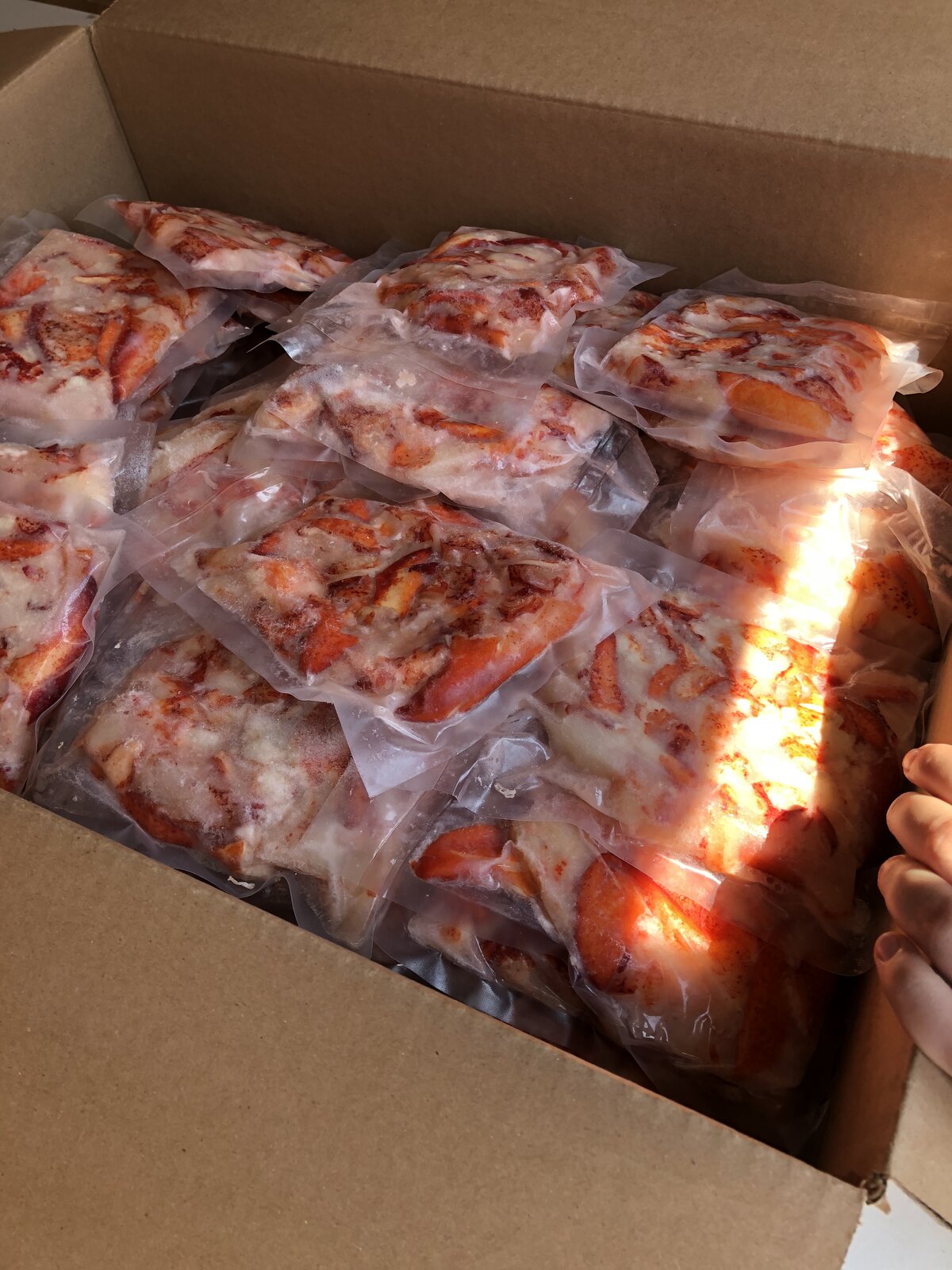 Homard congelé de qualité premium Groupe LAD