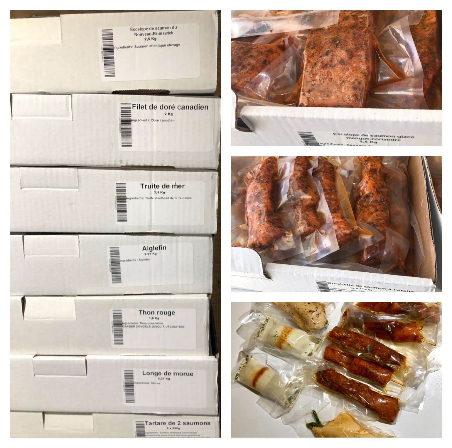 Filets de saumon, doré, truite, aiglefin, thon rouge, longe de morue et tartare de saumons - produits Groupe LAD